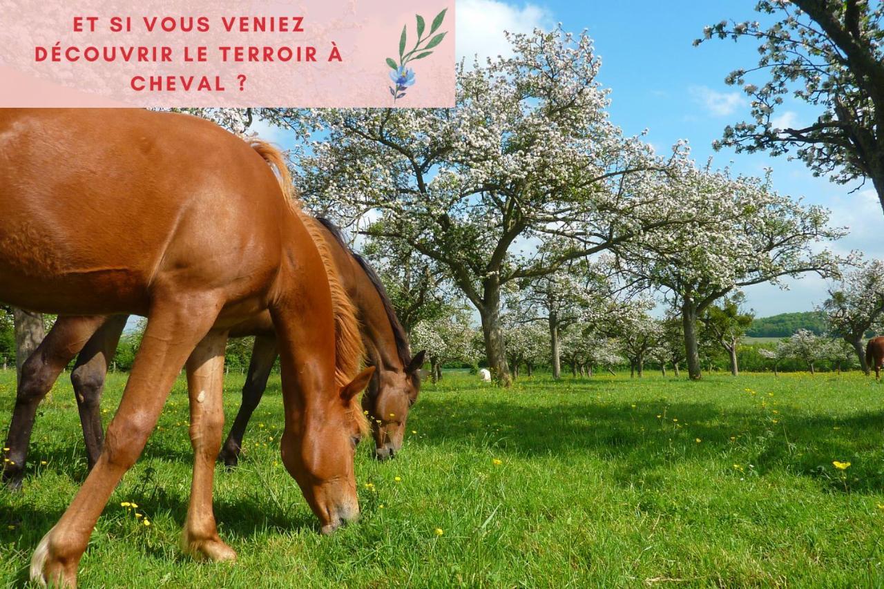 Suite Jungle - Jardin, Netflix Et Parking - Le Manoir Aux Pommes Orbec Exterior photo